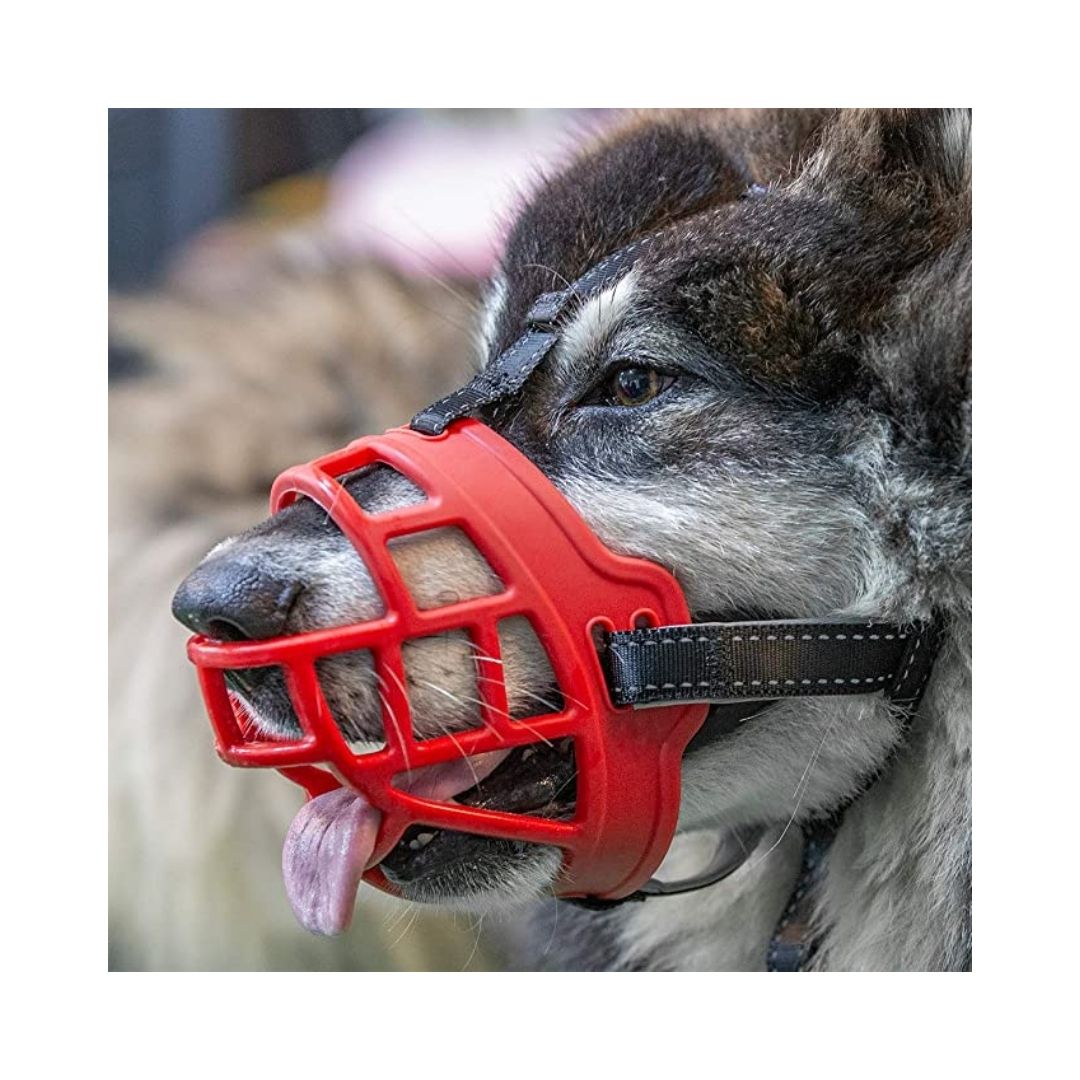 Muzzle Soft Plastic (No 2) Yellow And Red - Red