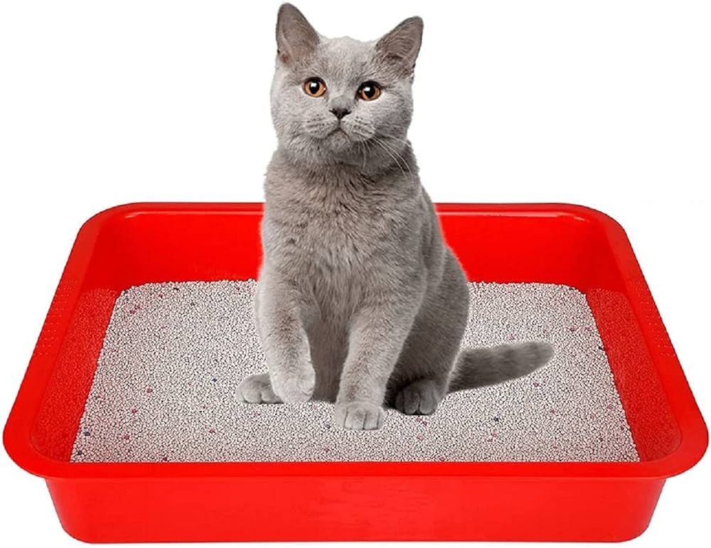 Litter Tray (Small, Medium, Large) - Litter Tray Medium