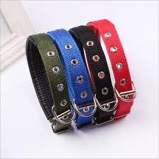 Soft Collar with buckle Ex
