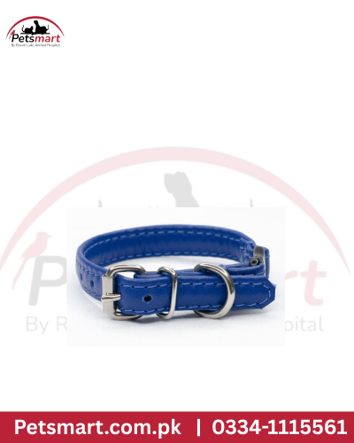 Soft collar simple S