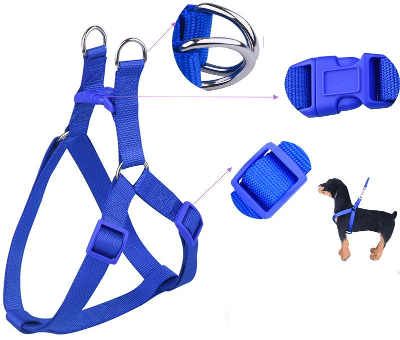 Dog Body Harness With Leash (EX-Large) - Blue