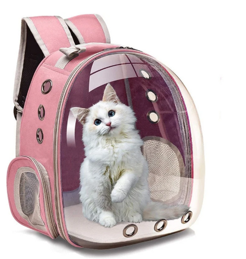 Transparent Bag