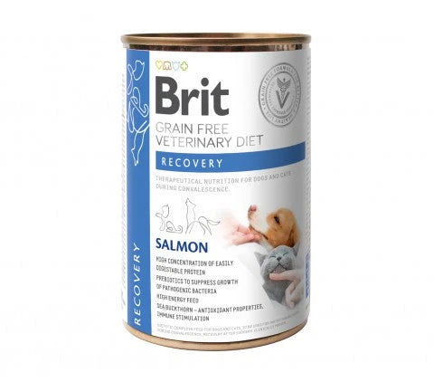 Brit salmon recovery can food