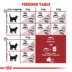 RoyalCanin Regular Fit Cat Food  2 KG