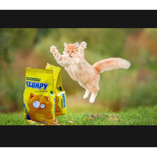 Klumpy Cat Litter 16Liters