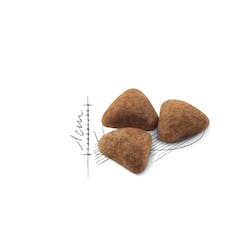 Royal Canin Indoor-27 2KG