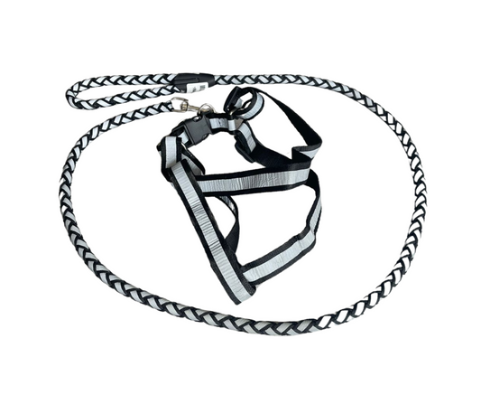 Round Leash With Harness - Black