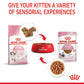 Royal Canin Kitten with Gravy Wet Cat Food Pouches 85g