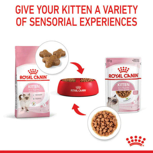 Royal Canin Kitten with Gravy Wet Cat Food Pouches 85g