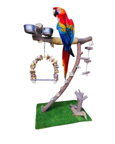 Bird macaw stand