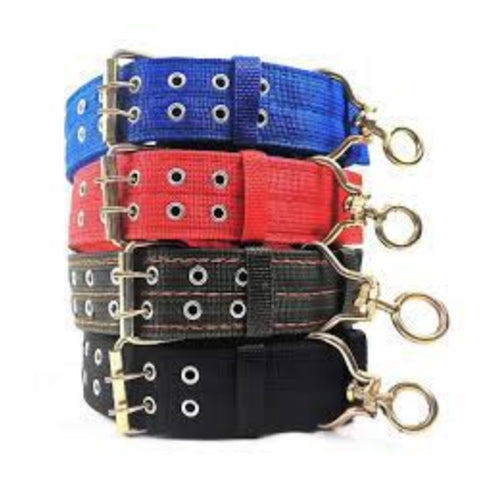 Multi Colour Soft Collar With Buckle L