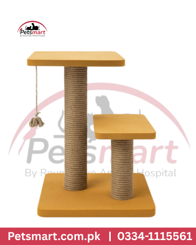 Cat scratcher