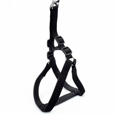 Harness