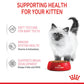 Royal Canin Kitten with Gravy Wet Cat Food Pouches 85g
