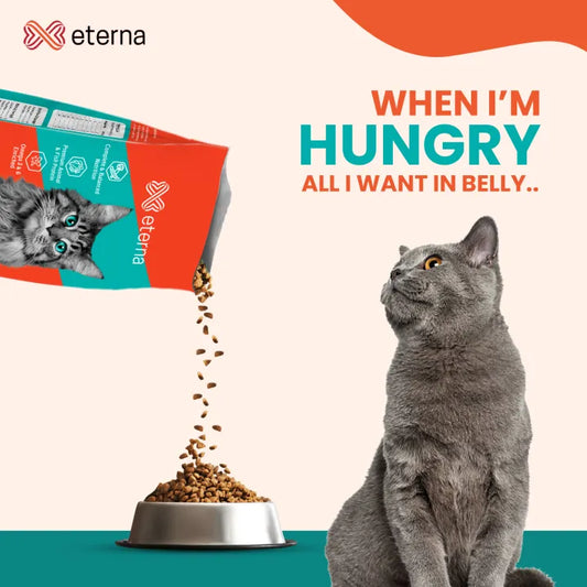 Eterna Premium Pet Food for Cats
