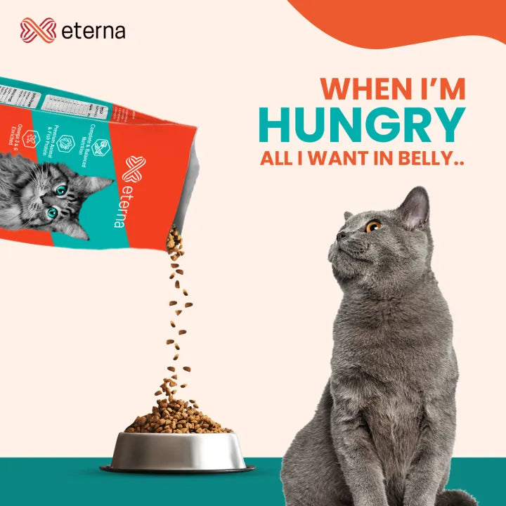 Eterna Premium Pet Food for Cats