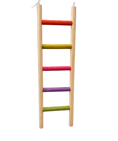 5-step colourful wooden bird ladder measuring 8.5 by 27cm for pet bird cages
