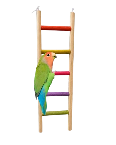 5 Step Colourful Bird Ladder 8 5X27Cm