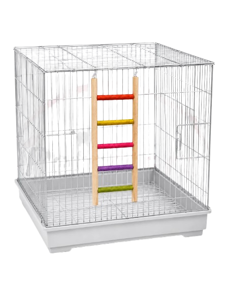 5 Step Colourful Bird Ladder 8 5X27Cm