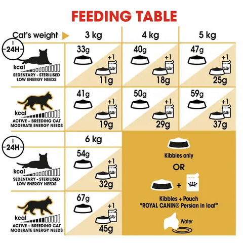 Royal Canin Persian Adult Dry Cat Food 4Kg