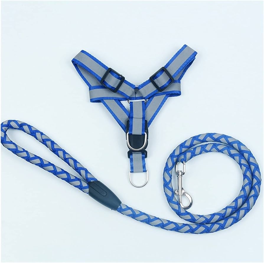 Round Leash With Harness Blue n Grey (Small)