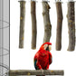 Bird Perch 9 inch