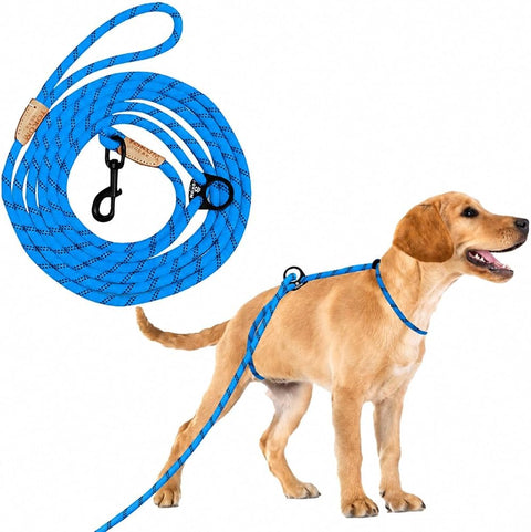 Imp Choke Leash
