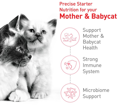 Royal Canin Mother Babycat Dry Cat Food 400G