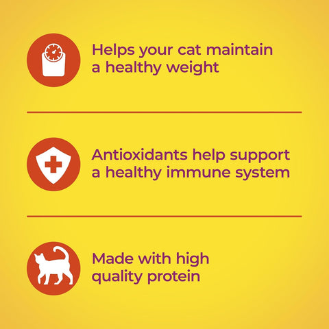 Meow Mix Indoor Health Dry Cat Food 1.42Kg