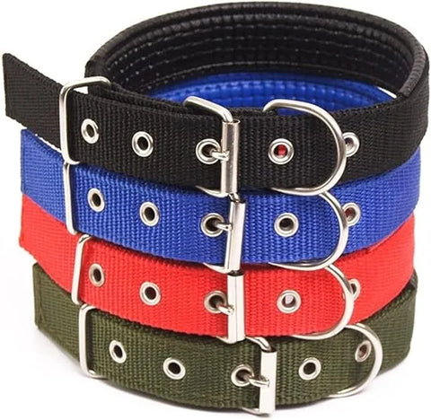 Multi Colour Soft Collar With Buckle S
