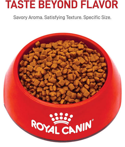 Royal Canin Mother Babycat Dry Cat Food 400G
