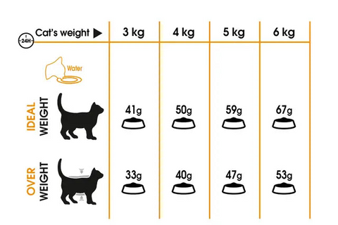 Royal Canin Hair Skin Care Adult Cat Food 400G