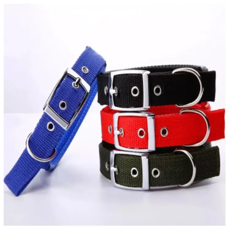 Soft Collar with buckle (Large)