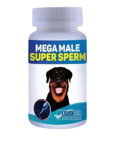 Alpha Pet Products A-MI-31 Mega Male Super Sperm nutritional supplement for stud male dogs