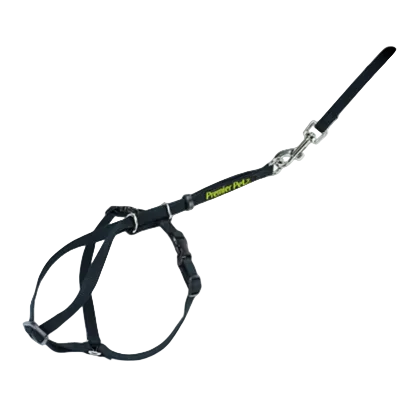 Cat Leash + Harness