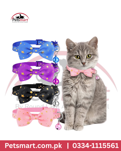 Cat bow