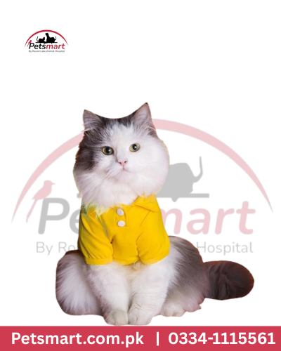 Cat dresses Small