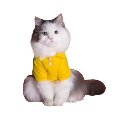 Cat Dresses Small