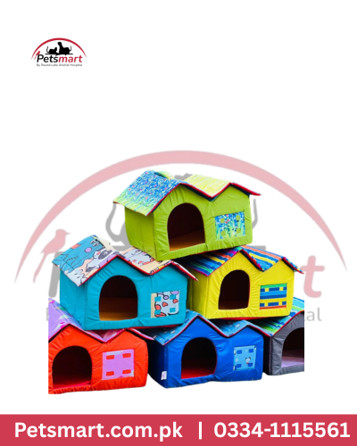 Cat house Blue and Red