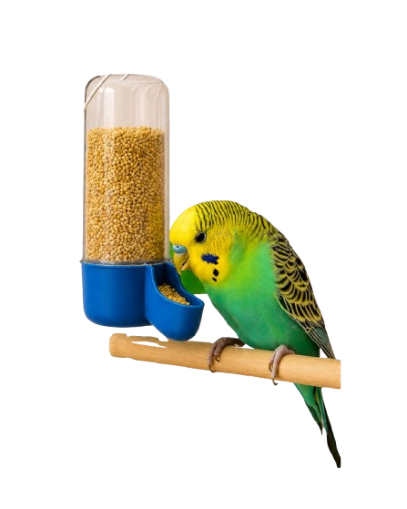 Tall Bird Food & Water Dispenser ��� Cage-Mount Plastic