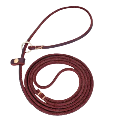 Choke Leash Important