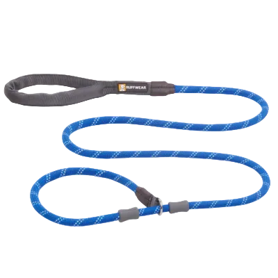 Blue leash