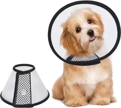 E Coller For Dogs M