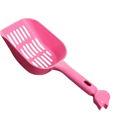 Food Scoop