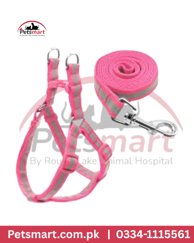 Dog body harness L