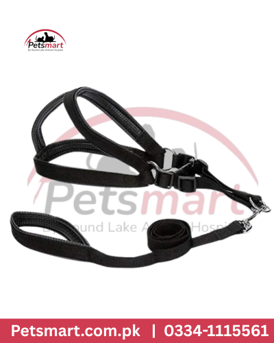 Dog body harness XS