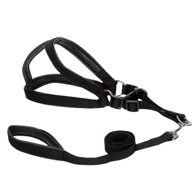 Harness Leash