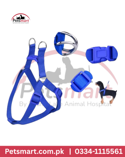 Dog body harness XL