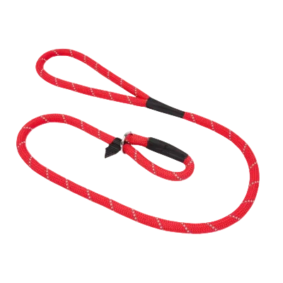 Leash medium
