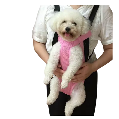 Pet Carring Bag